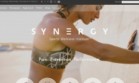 Synergy Sports Wellness Institute